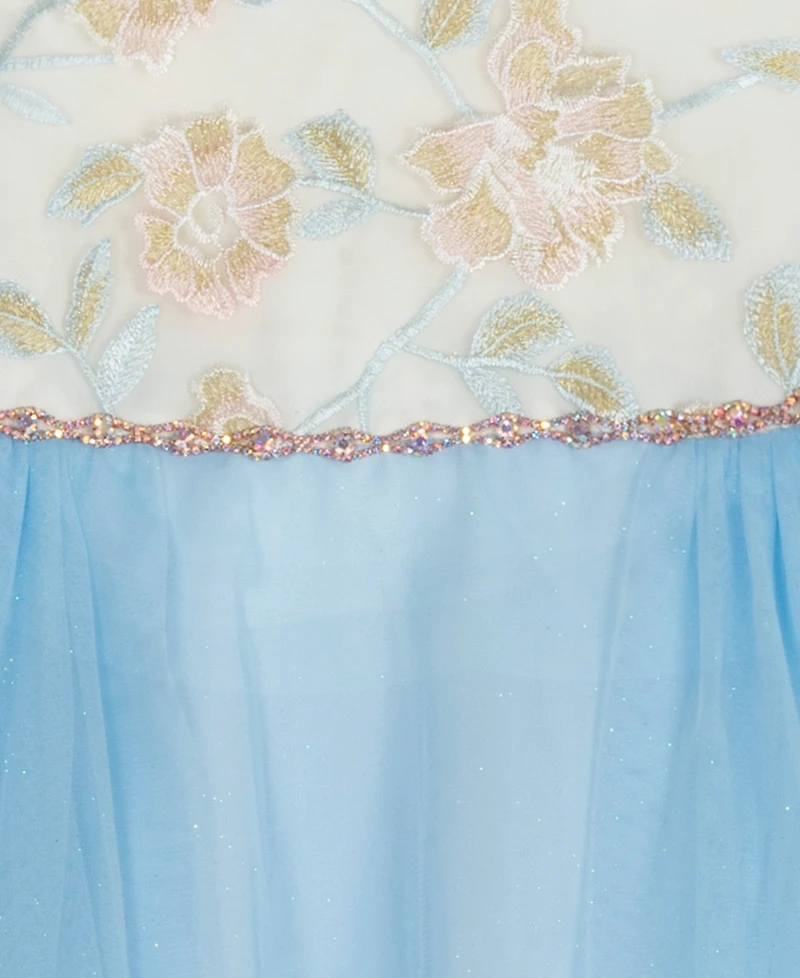 Rare Editions Girls' 7-16 Embroidered Mesh Illusion Bodice High-Low Dress