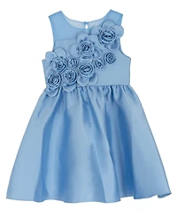 Rare Editions Girls' 2T-6X Illusion Neck 3D Rosettes On Bod Mikado Dress