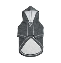 Blueberry Pet Better Basics Matching Hoodies for Dog & Owner Set