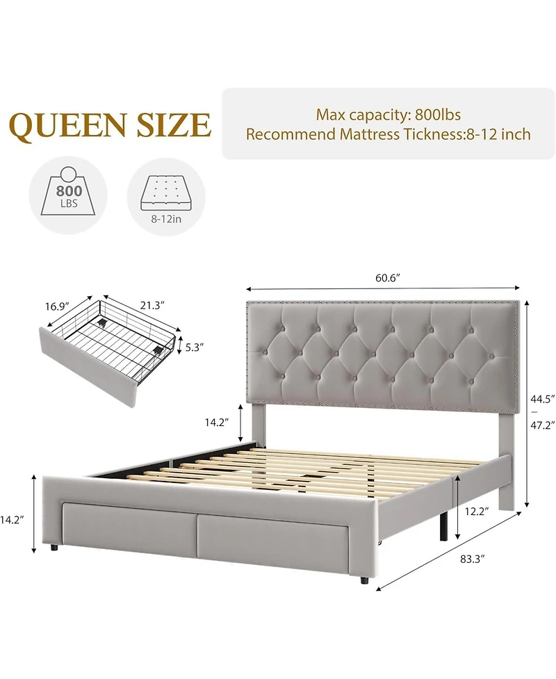 Queen Velvet Bed with 2 Storage Drawers, Tufted Wingback Headboard, Strong Slats, Noise-Free, No Box Spring, Black