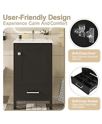 Cesicia 20 in. Modern Bathroom Vanity with Ceramic Sink, Soft-Close Drawer & Door, Double-Layer Door Organizer, Divider Drawer, Adjustable Foot Pads