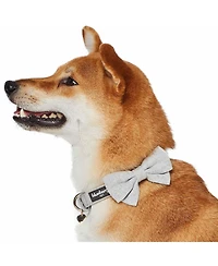 Blueberry Pet Textured Tweed Dog Collar With Detachable Bowtie Accessory