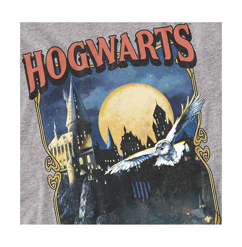 Harry Potter Men's Hogwarts Poster T Shirt