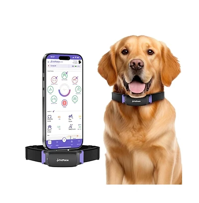 Petpace, Dogs Health Monitoring Collar, Large