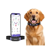 Petpace, Dogs Health Monitoring Collar, Large