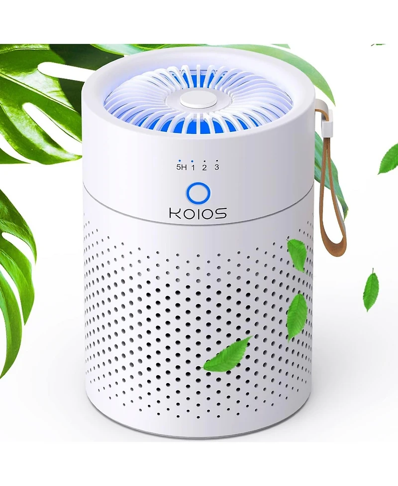 Zachvo Air Purifiers for Bedroom Home,for Desktop Office Car Pets with Usb, Night Light,Remove Smoke, Dust, Odors, Pollen