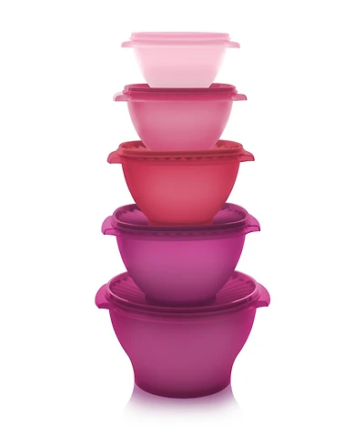 Tupperware Heritage Collection 10-Piece Food Storage Container Set