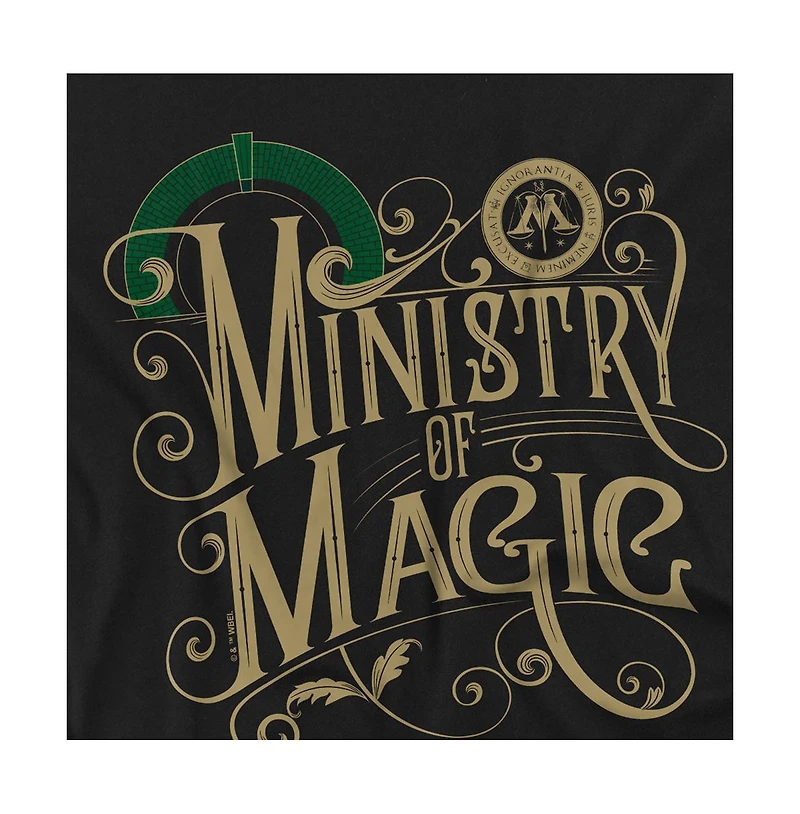 Harry Potter Big & Tall Ministry Of Magic T Shirt