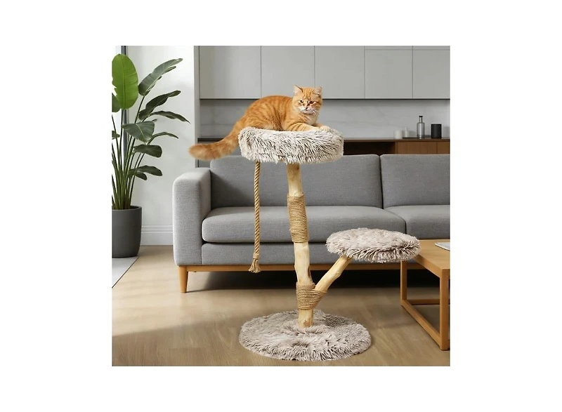 Zeus & Ruta Cat Tree Cat Tree for Indoor Cats with Wooden Scratching Posts