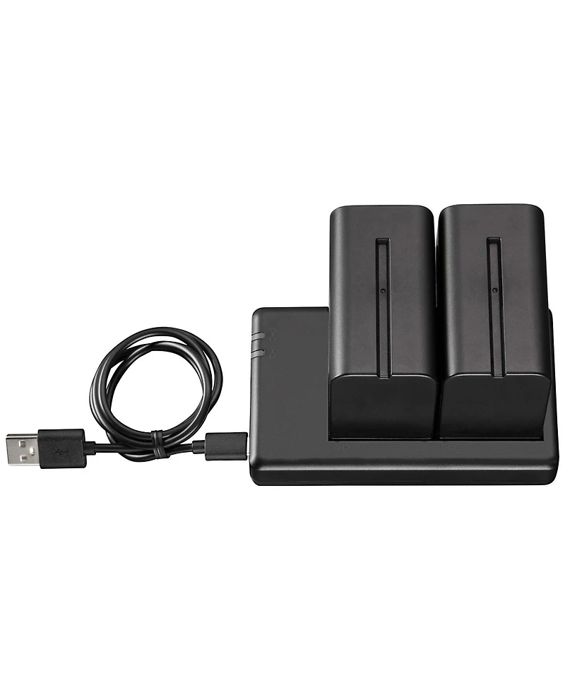 Westcott 2x L-Series Np-F970 7.4V 6600mAh Lithium-Ion Battery with Dual Charger