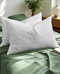 Unikome European Goose Down Feather 2-Pack Pillows, King