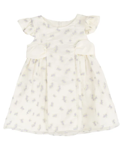 Rare Editions Girls' Toddler 2T-4T Embroidery Dress