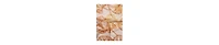 Viscata Foulard Scarf