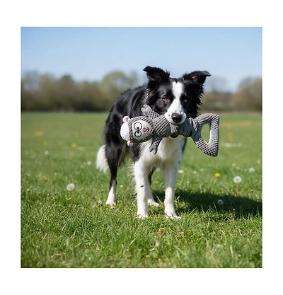 Aostirmotor Multi-Functional Sheep Dog Toy with Squeaker & Crinkle