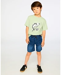 Deux par Big Boys ganic Cotton Jersey T-Shirt with Print Sage