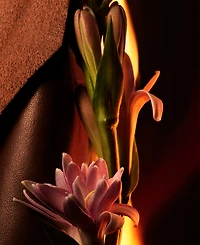 Bvlgari 2-Pc. Man In Black Eau De Parfum Gift Set