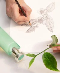 Bvlgari Eau Parfumee The Vert Eau De Toilette, 5 oz.