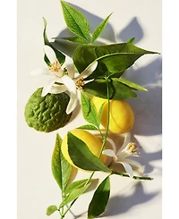 Bvlgari Eau Parfumee The Vert Shower Gel, 10.1 oz.