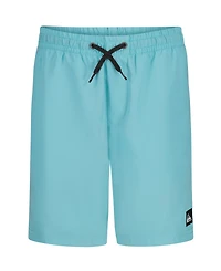 Quiksilver Boys' 8-18 Everyday Liner Volley Shorts