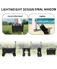 Rainsken Convertible Folding 4-Wheel Wagon Cart