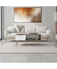 Fm Furniture Scandinavian Style Coffee Table with Storage Drawer and Open Shelf