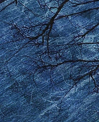 Addison Mayfield AMF2083 9'x12' Area Rug