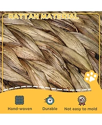 PawHut 20" Natural Braided Elevated Cat Bed Basket House Chair Dark Brown