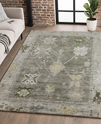Addison Mayfield AMF2025 5'x7'6" Area Rug