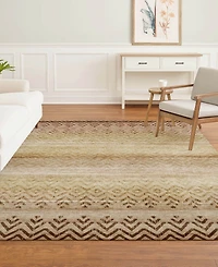 Addison Mayfield AMF2042 10'x14' Area Rug
