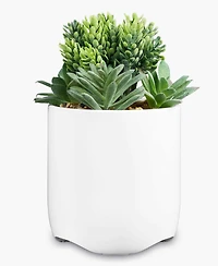 iHome Power Plant Faux Succulent Usb Charging Station
