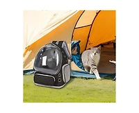 Breathable Transparent Pet Carrier Bag for Cats & Small Dogs – Portable Space Capsule with Zipper, Yellow, Ideal for Travel & Outdoor Adventure