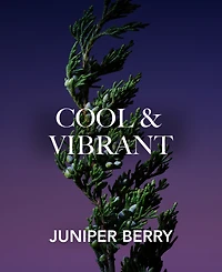 Aramis Intuition Intense Eau de Parfum Spray, 3.4 oz.