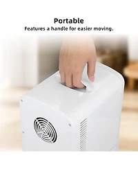 Antarctic Star Portable Mini Fridge, 4L Skincare & Beverage Cooler (Ac/Dc)