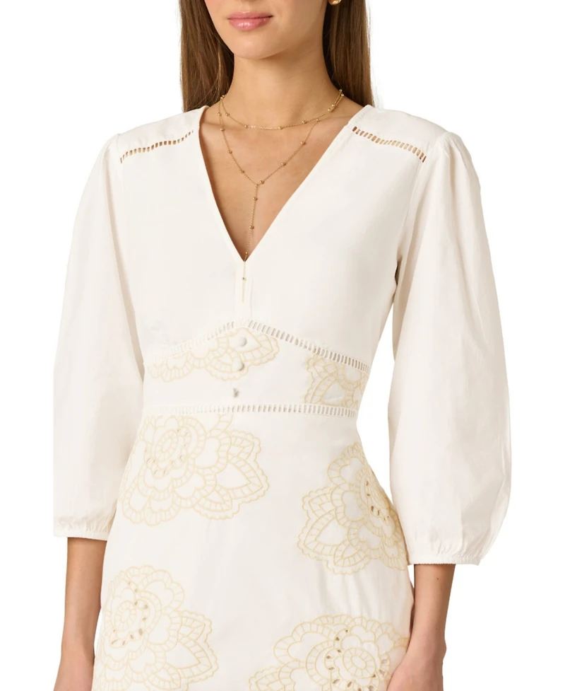 Adrianna Women's Embroidered V-Neck Mini Dress