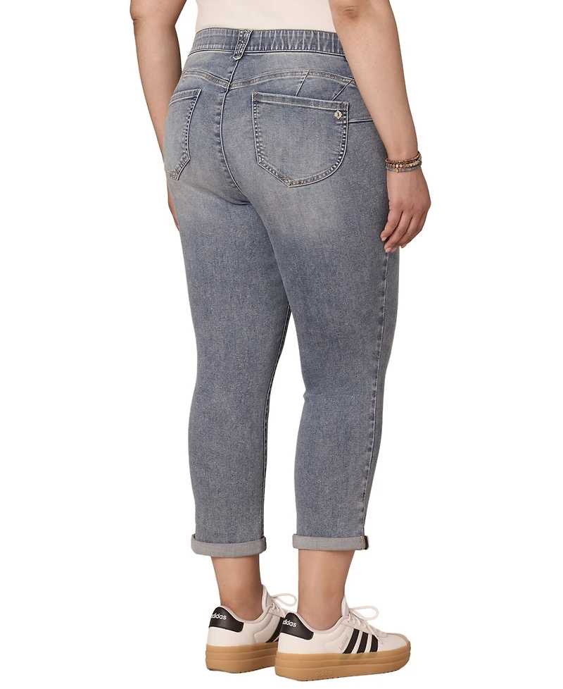 Democracy Plus Ankle-Length Mid-Rise Jeans