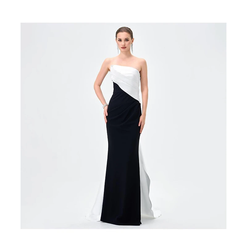 Bariano Women's Yulitza Asymmetric Gown