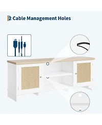 gaomon Rattan Tv Stand Fits TVs up to 65 inches, Entertainment Center with Cabinets and Open Shelves