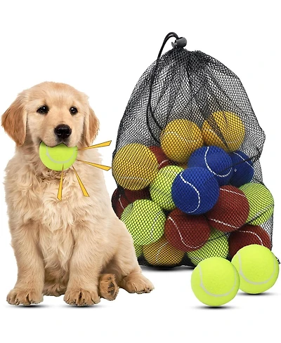 Magicorange Pack of 20 Squeaky Dog Tennis Balls 2.5 Inch Floatable Fetch Balls in Bright Colors with Mesh Carrying Bag for Pet Training and Exercise