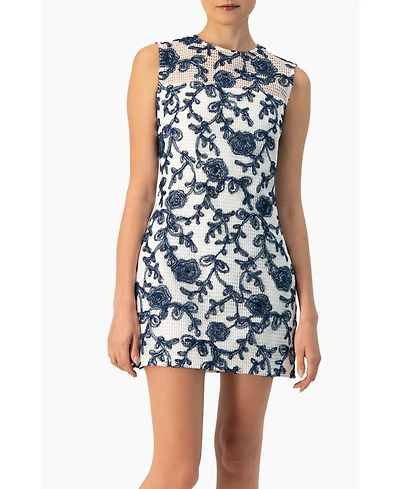 Ivonne Women's Sleeveless Embroidered A-Line Dress