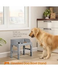 Aronkl Dog Elevated Stand with Slow Feeder & 2 Stainless Steel Bowls Adjustable Height Tilted Design