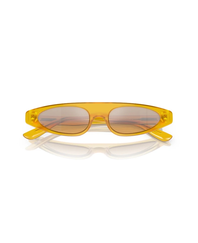 Dolce&Gabbana Women's Sunglasses, DG4442