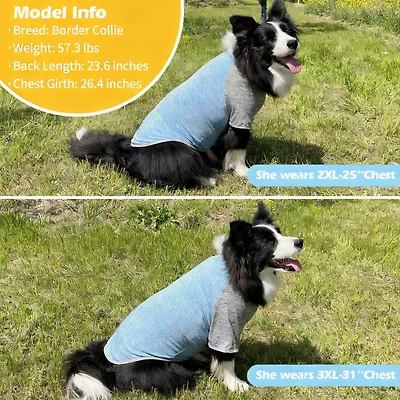 Aronkl 2-Pack Lightweight Athletic Dog T-Shirt with Reflective Label for Outdoor Use