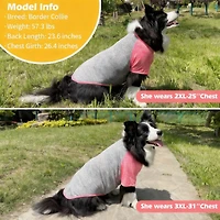 Aronkl 2-Pack Lightweight Athletic Dog T-Shirt with Reflective Label for Outdoor Use