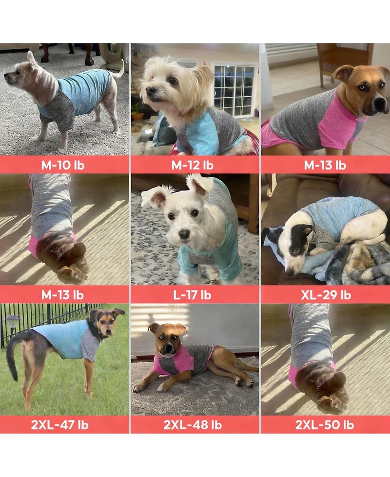 Aronkl 2-Pack Lightweight Athletic Dog T-Shirt with Reflective Label for Outdoor Use