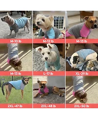 Aronkl 2-Pack Lightweight Athletic Dog T-Shirt with Reflective Label for Outdoor Use