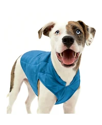 Aronkl Loft Dog Jacket: Insulated, Reversible, Water-Resistant, Reflective, Adventure Ready