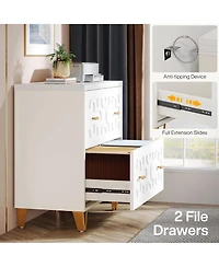 Rainsken 2-Drawer Lateral File Cabinet for Legal/Letter/A4 Size