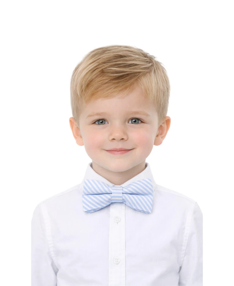 Bits & Bows Boys Little/Big Seersucker Bow Tie