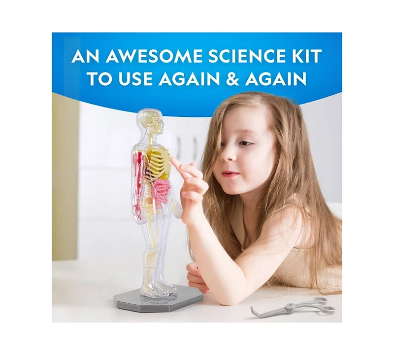 National Geographic Glow-In-The-Dark Human Body