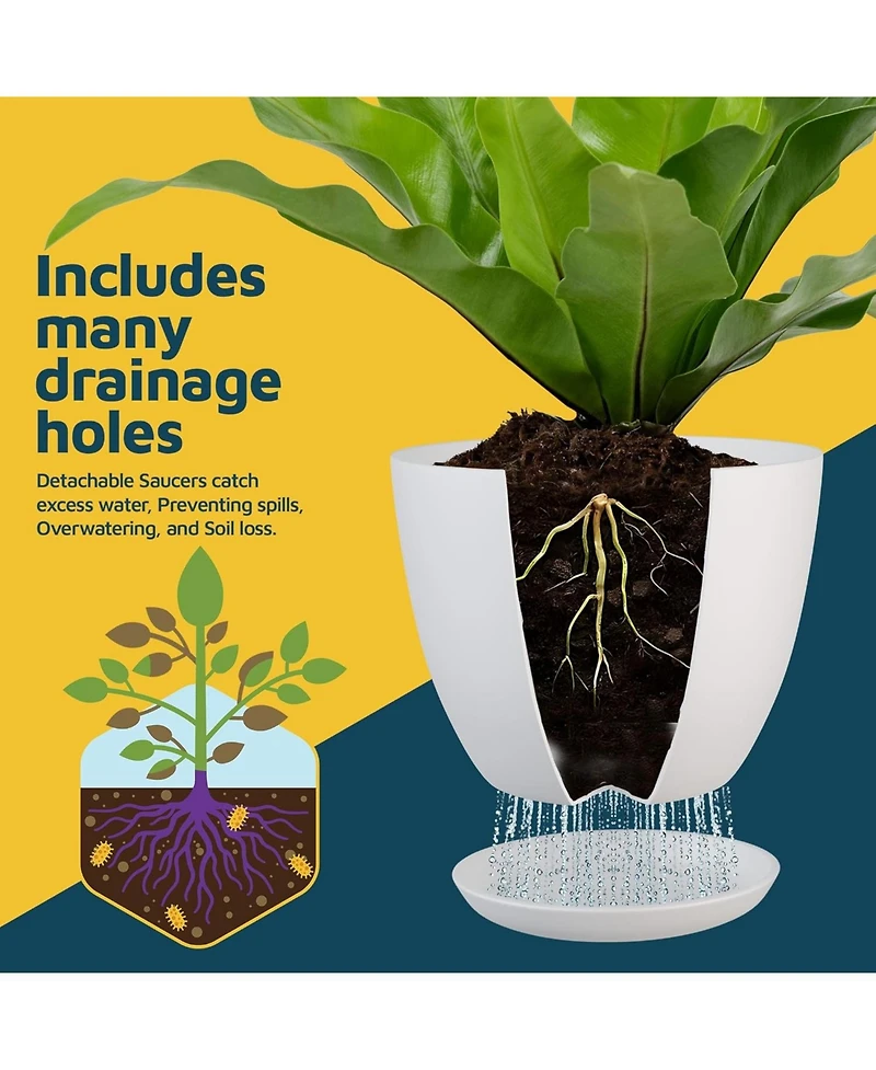 Lifemaster Multicolor Plant Pots Pack with Drainage Holes & Saucers